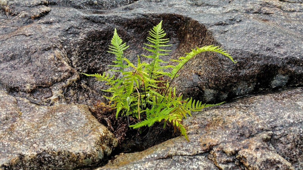 Perubahan Bukan Buat Kaum&nbsp;Mendang-Mending
